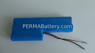 China High Quality Li-ion 18650 18.5V 2.6Ah Battery Pack with full Protection and Flying Leads supplier
