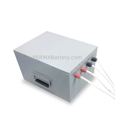 China Electric Vehicle Battery Packs Customized with PCM and Metal Case supplier