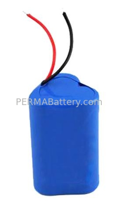 China Rechargeable Li-ion 18650 3.7V 10.2Ah battery pack with full Protection supplier