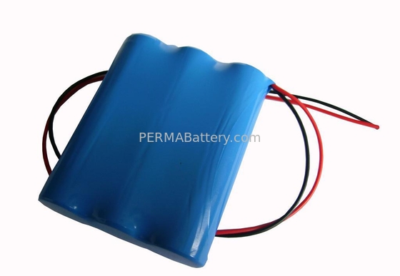 China High Quality Li-ion 18650 3.7V 10.2Ah battery pack with PCB and Flying Leads for GPS supplier