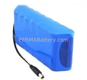 China High Quality Li-ion 18650 11.1V 17Ah Battery Pack with full Protection and DC Connector supplier