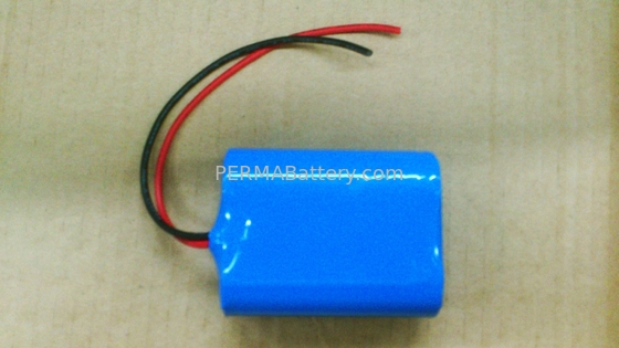 China Primary Lithium Battery Pack 6.0V 1300mAh with Flying Leads supplier