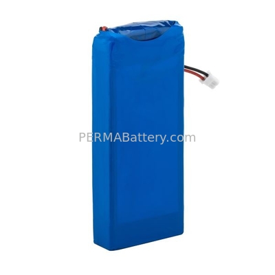 China Tailored Lithium Polymer Battery Packs with external full Protection and Connector supplier