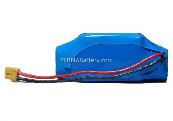 China High Power Li-ion 36V 5.8Ah Battery Pack with PCB and Connector for LEVs supplier