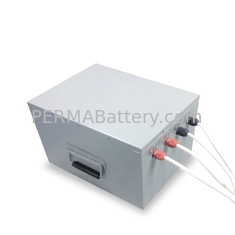 China Electric Vehicle Battery Packs Customized with PCM and Metal Case supplier